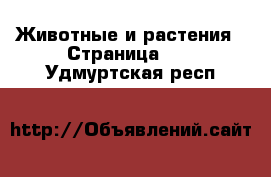  Животные и растения - Страница 11 . Удмуртская респ.